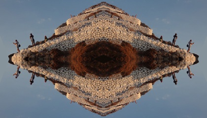 P8076823Kal3.jpg